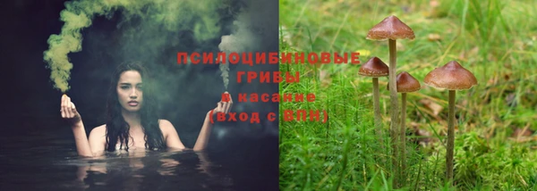 каннабис Абинск