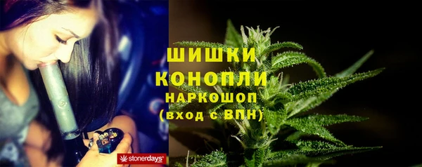 стаф Абаза