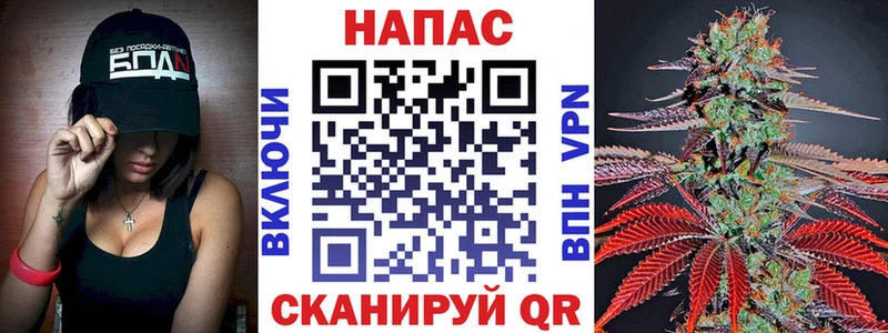 Конопля гибрид Александровск-Сахалинский